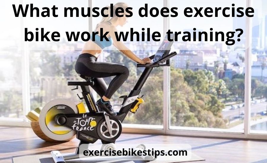 What muscles does exercise bike work: 5 best helpful tips